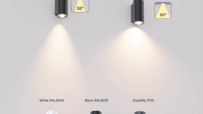 WL195 Housing color